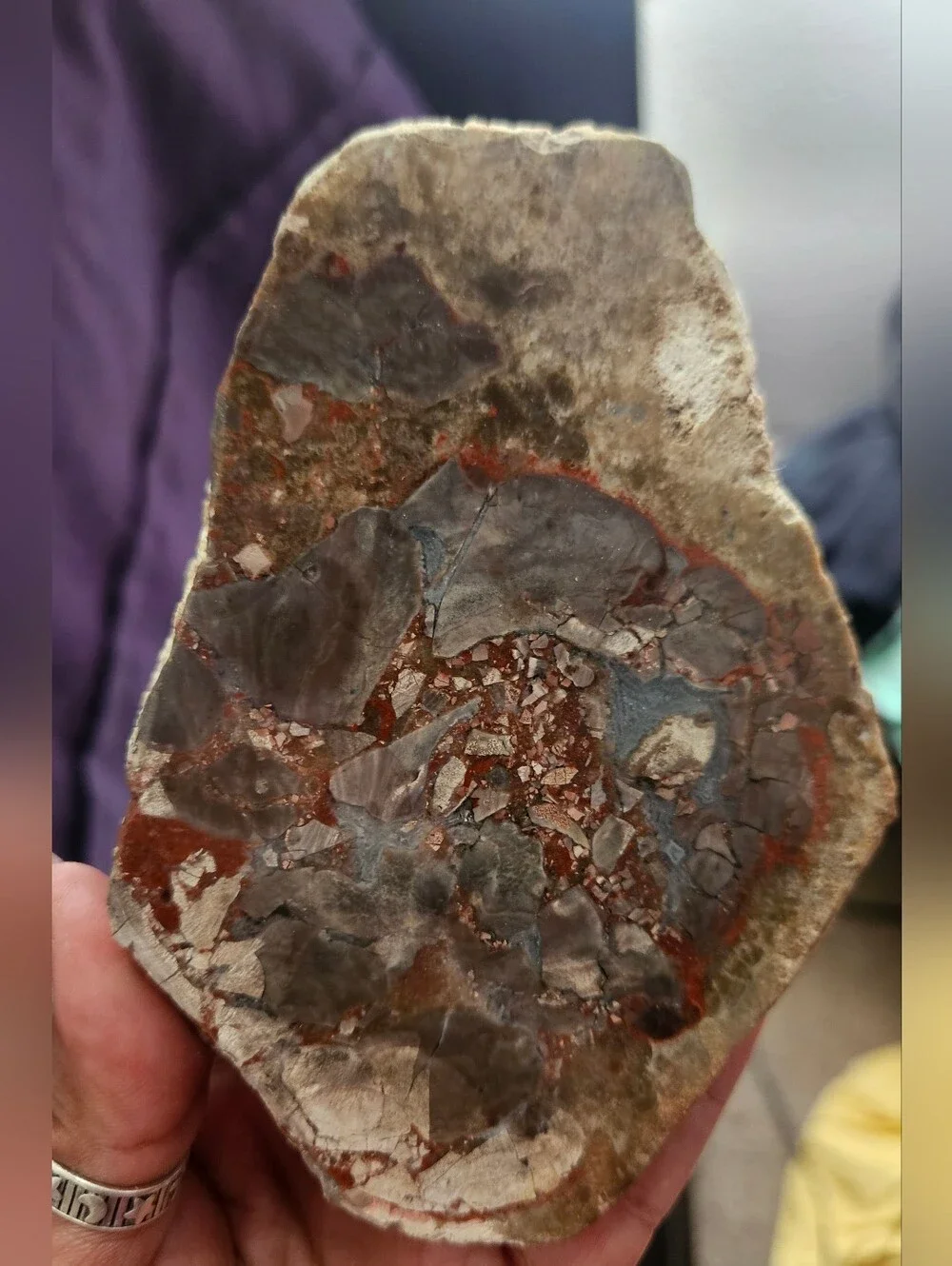 Polished Agate Stone Slice - 4.43in×3.41in - Picture 1 of 2
